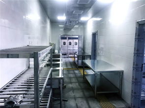 商用厨房设计与建设全流程解析 从报价到管理咨询